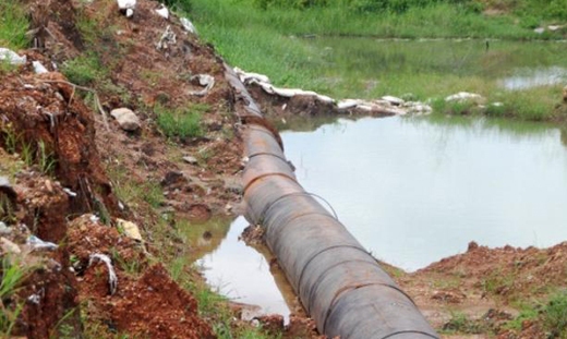 pipeline thumbay